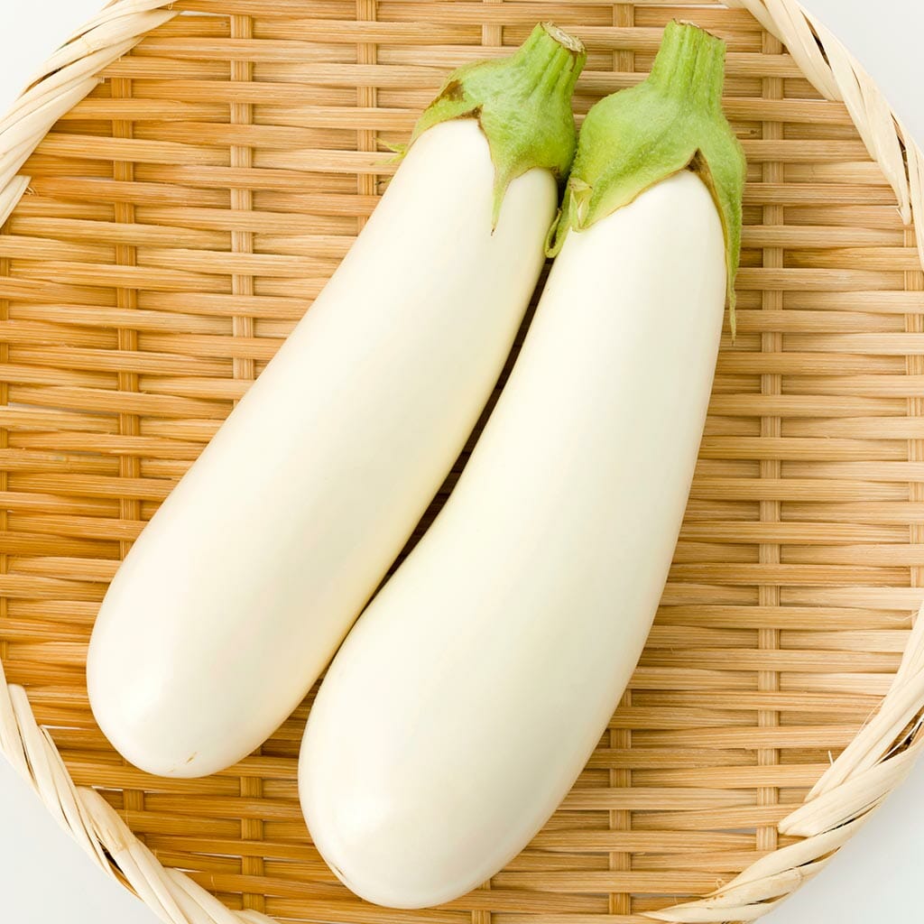EGGPLANT - Oriental White - Solanum melongena