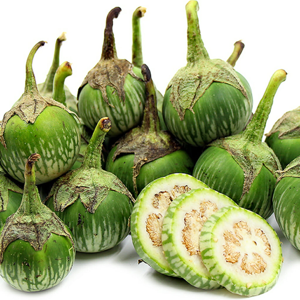 EGGPLANT - Thai Round Green - Solanum melongena