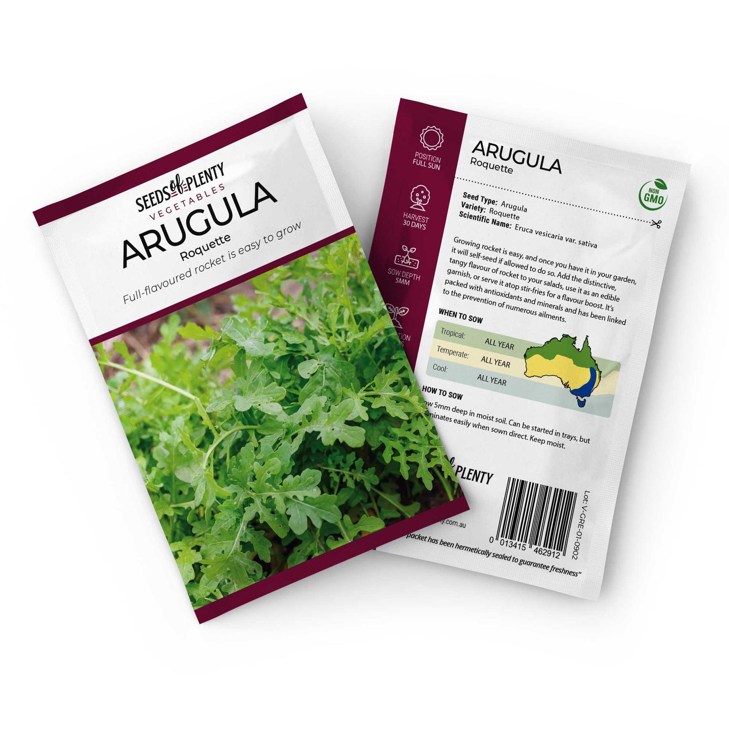ARUGULA - Rocket Seed Packet - Eruca vesicaria var. sativa