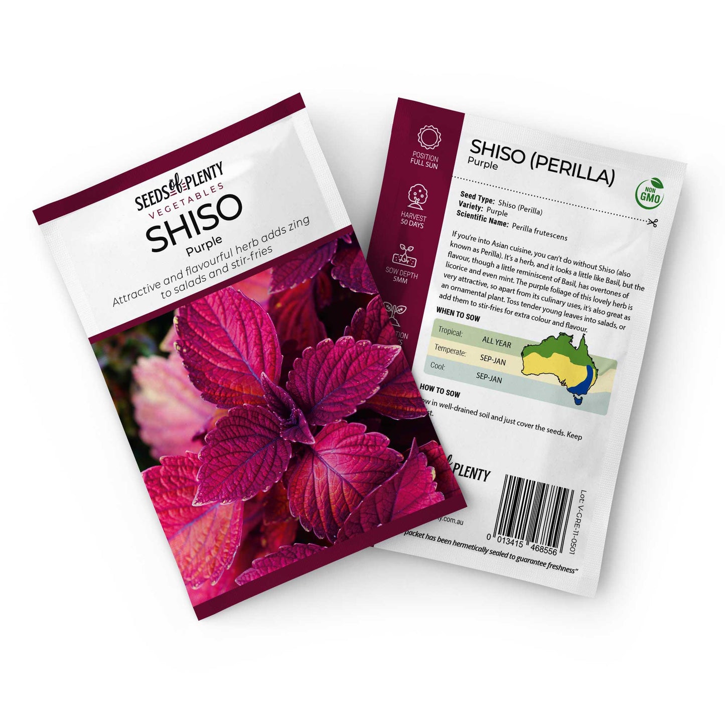 SHISO (PERILLA) - Purple Seed Packet - Perilla frutescens