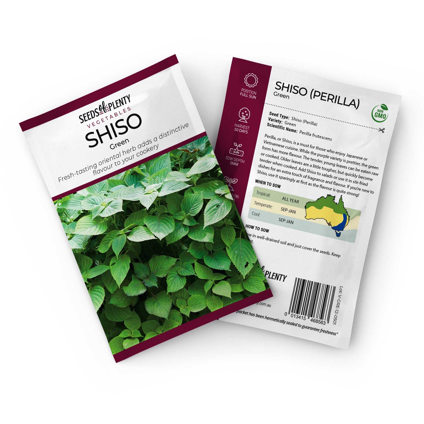 SHISO (PERILLA)  - Green Seed Packet - Perilla frutescens