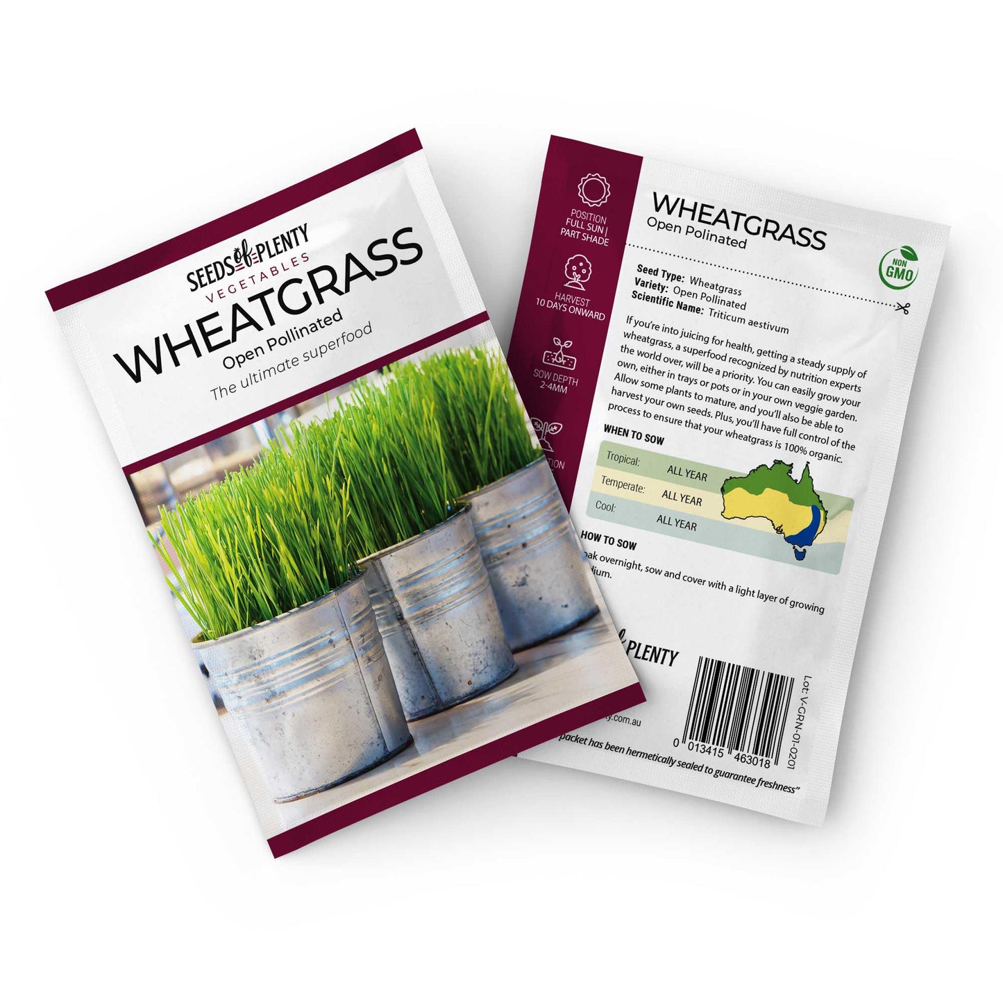 WHEATGRASS - Seed Packet - Triticum aestivum