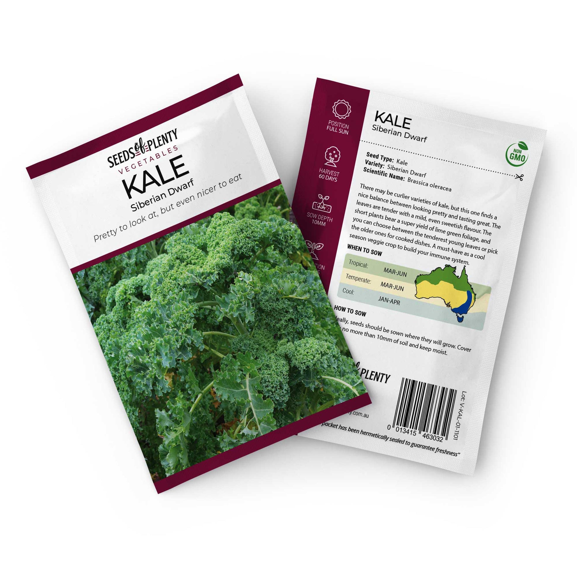 KALE - Siberian Dwarf Seed Packet - Brassica oleracea