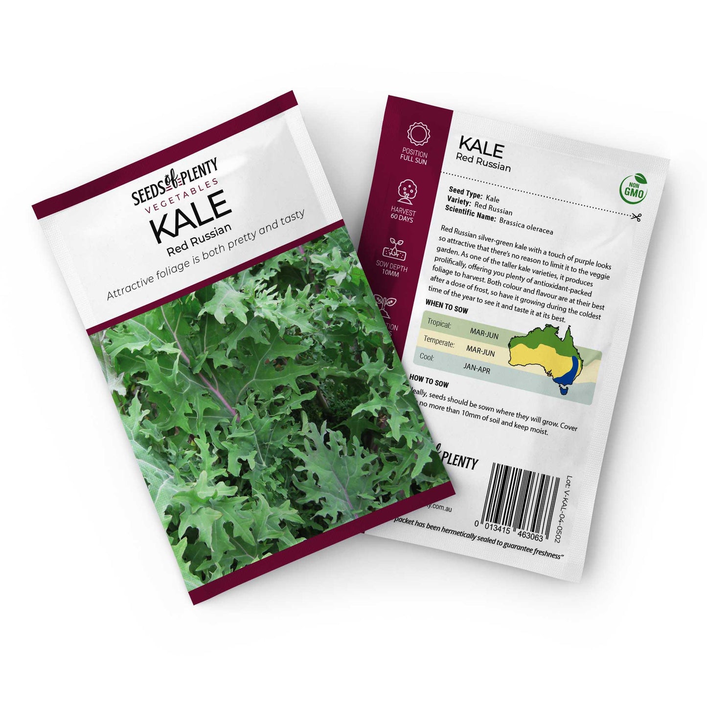 KALE - Red Russian Seed Packet - Brassica oleracea