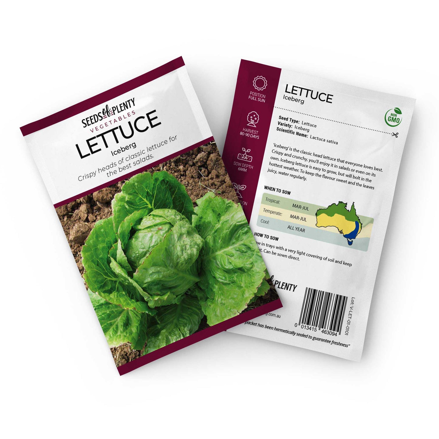 LETTUCE - Iceberg Seed Packet - Lactuca sativa