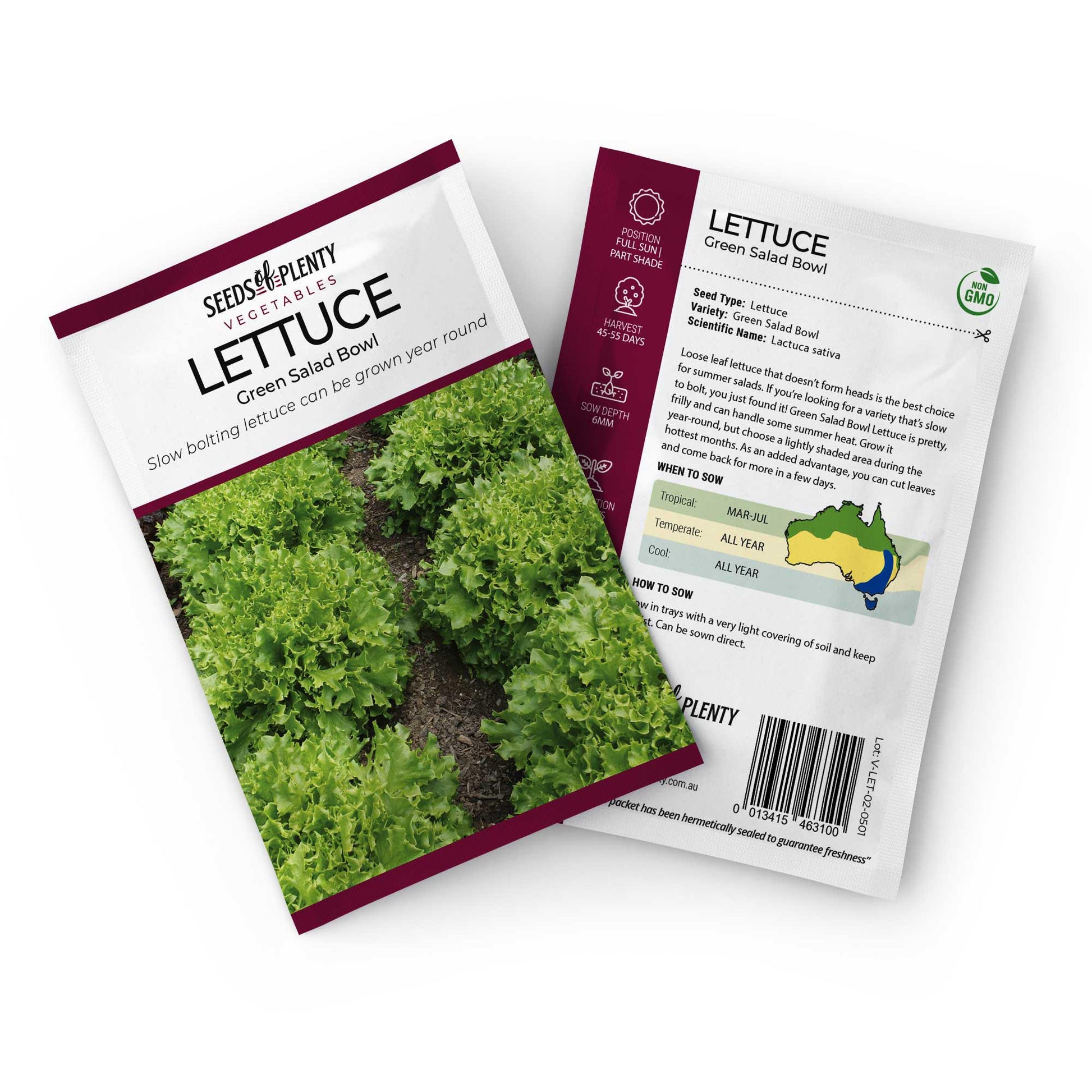 LETTUCE - Green Salad Bowl Seed Packet - Lactuca sativa