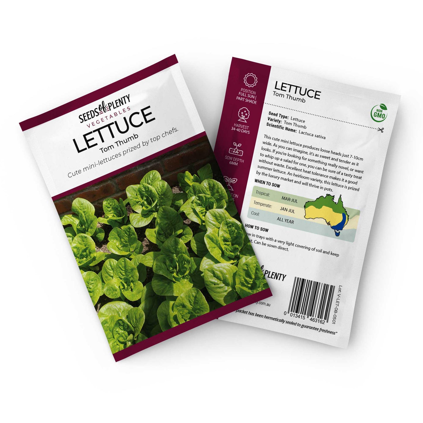 LETTUCE - Tom Thumb Seed Packet - Lactuca sativa