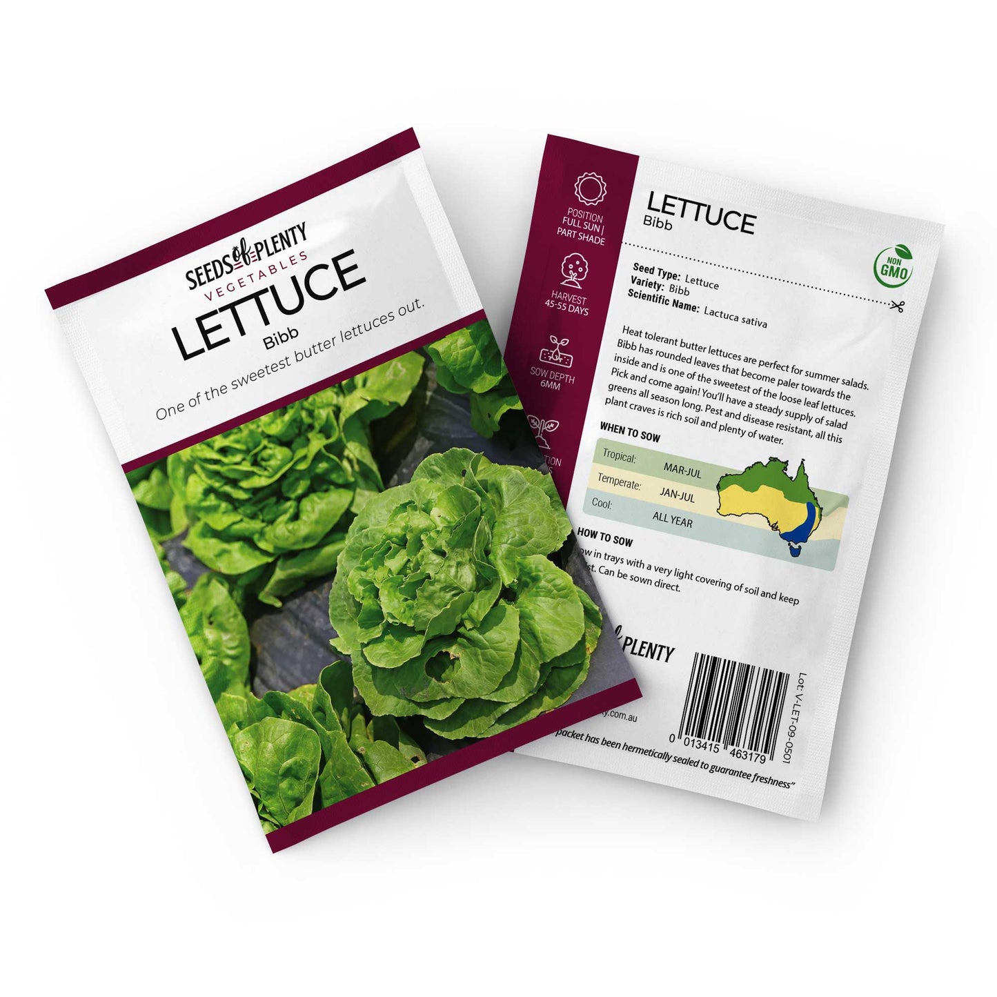 LETTUCE - Bibb Seed Packet - Lactuca sativa