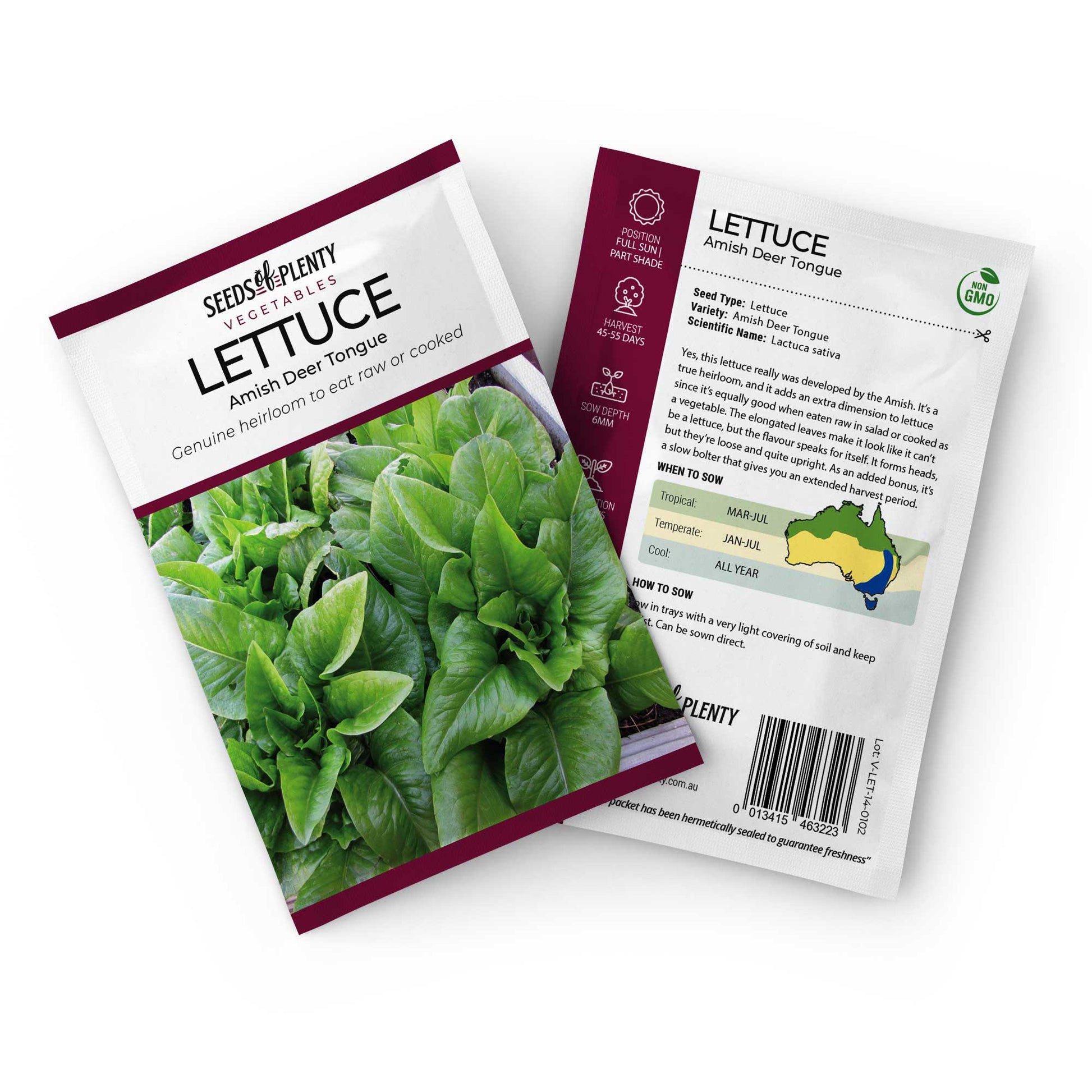 LETTUCE - Amish Deer Tongue Seed Packet - Lactuca sativa