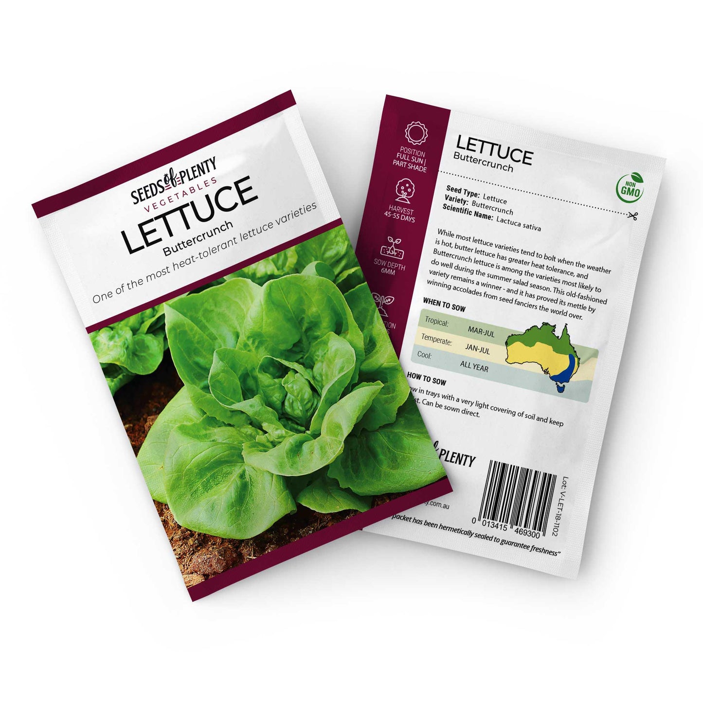 LETTUCE - Buttercrunch Seed Packet - Lactuca sativa