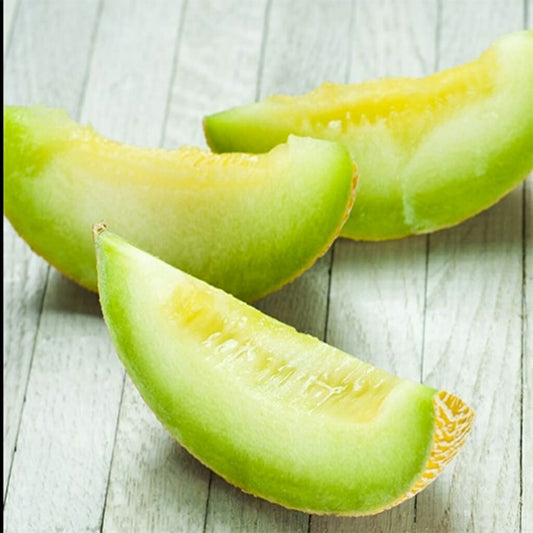 MELON - Honey Dew  - Cucumis melo