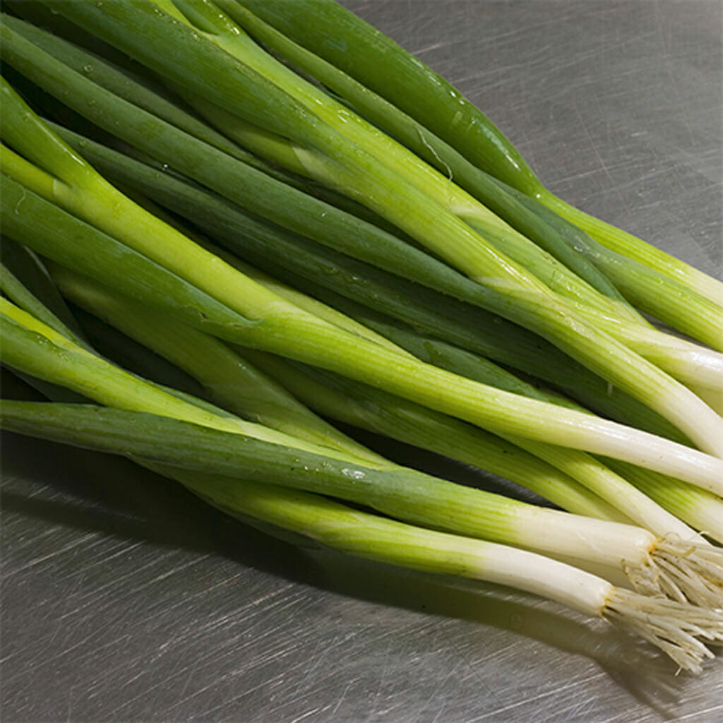 ONION - Spring (Bunching) - Allium fistulosum