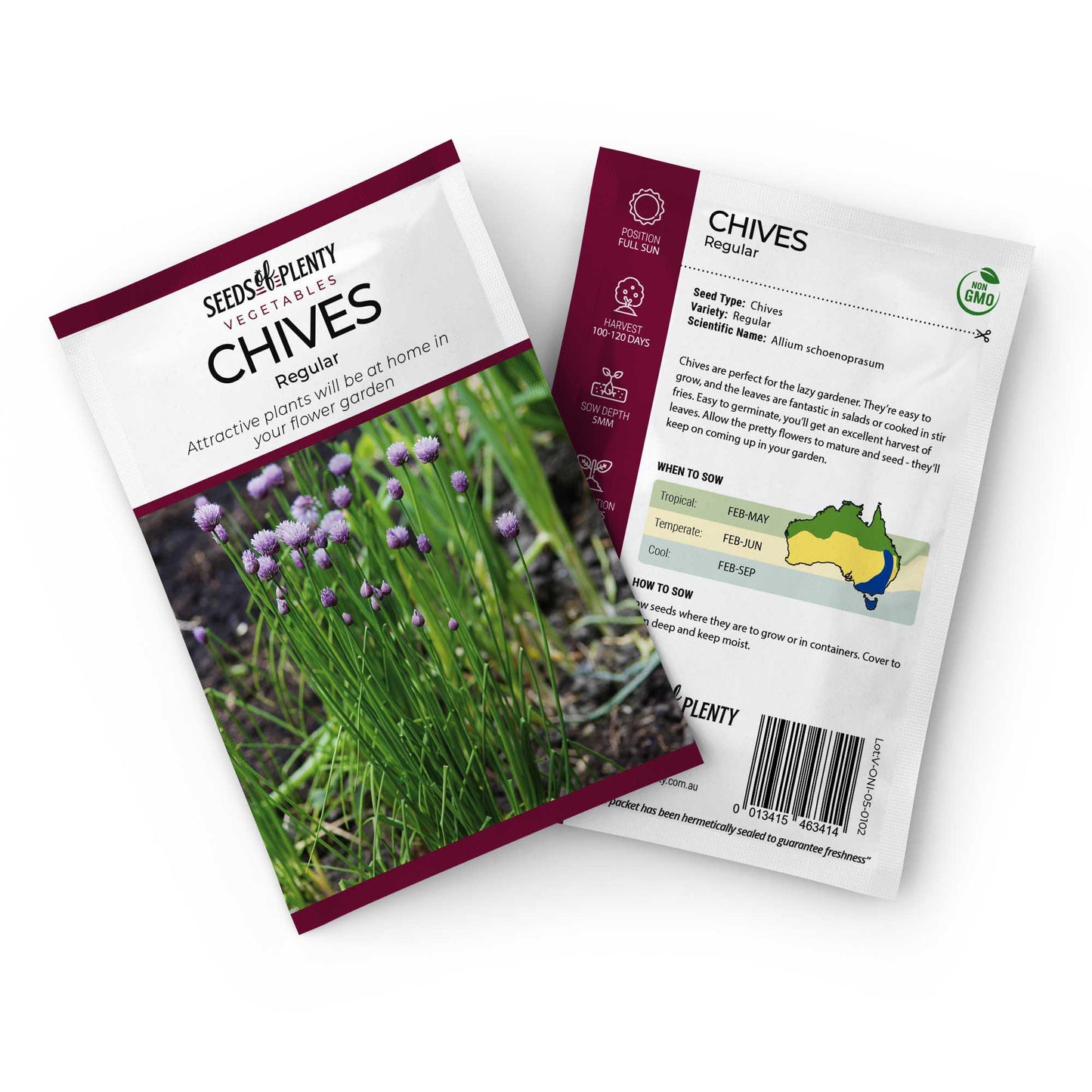 CHIVES - Regular Seed Packet - Allium schoenoprasum