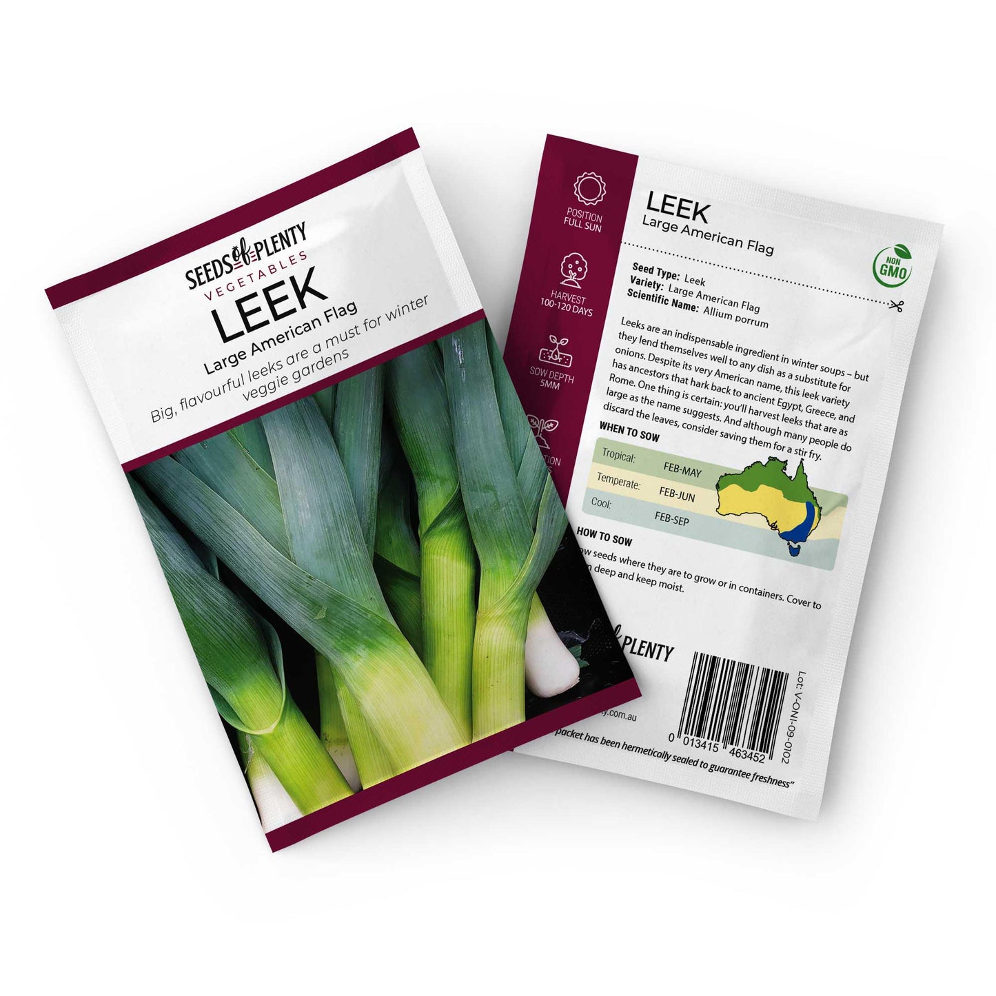 LEEK - Large American Flag Seed Packet - Allium porrum