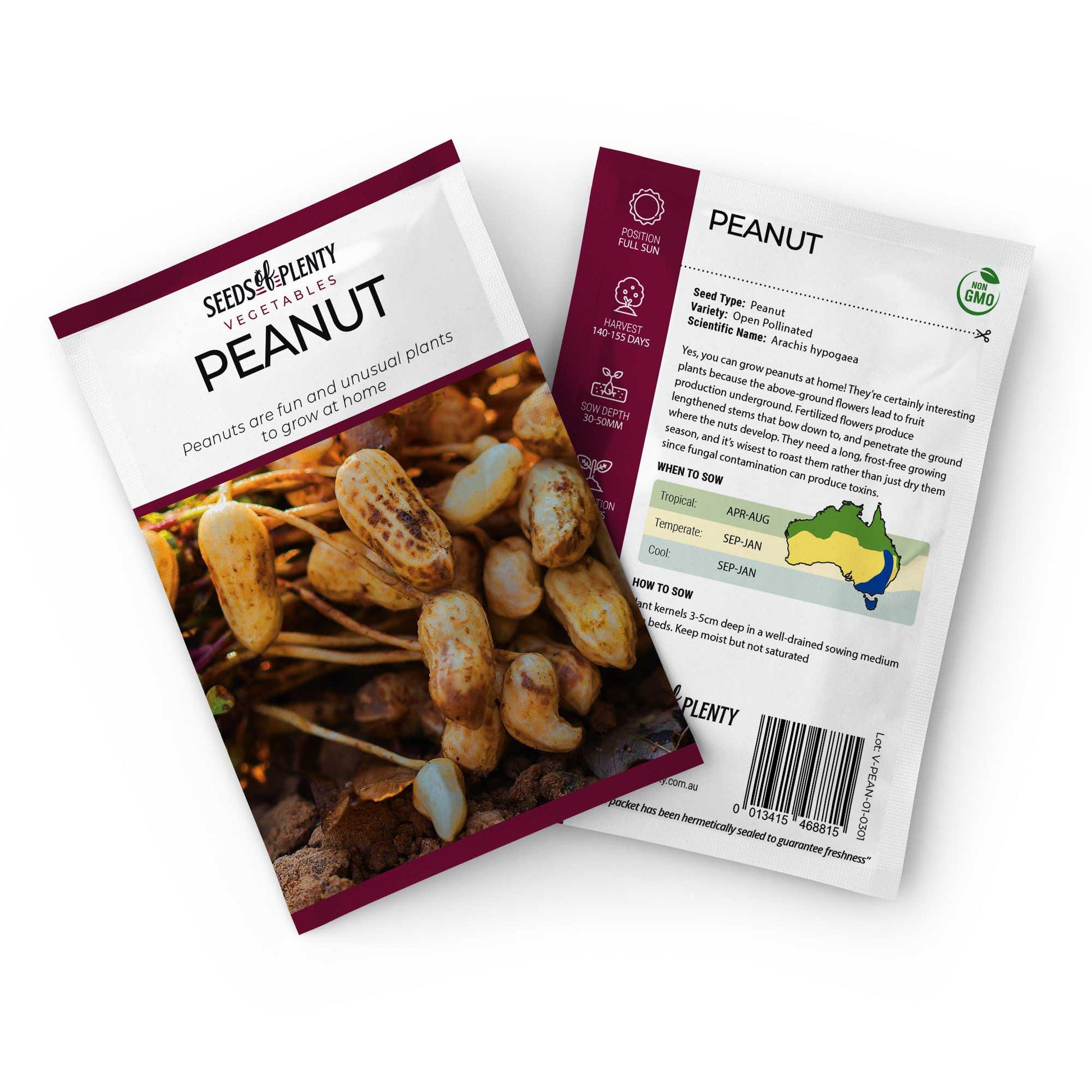 PEANUT - Seed Packet - Arachis hypogaea