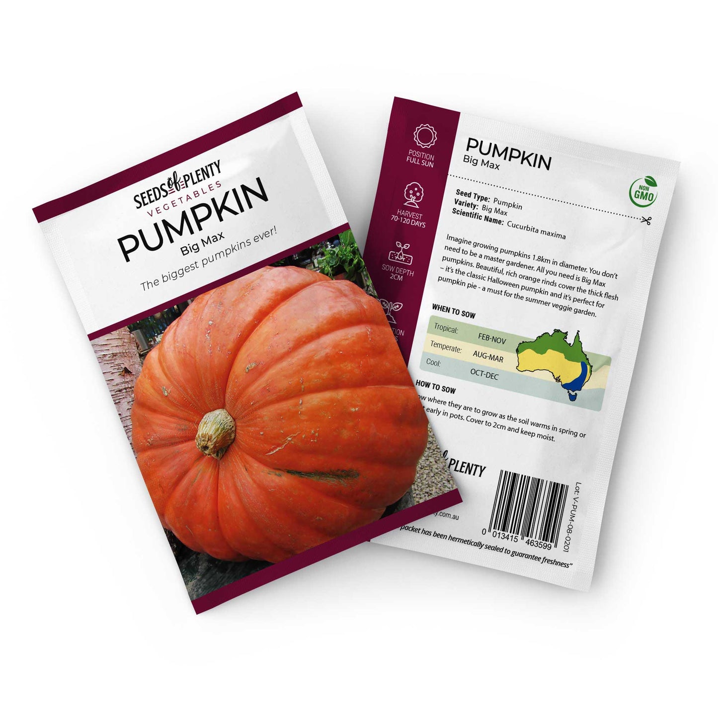 PUMPKIN - Big Max Seed Packet - Cucurbita maxima