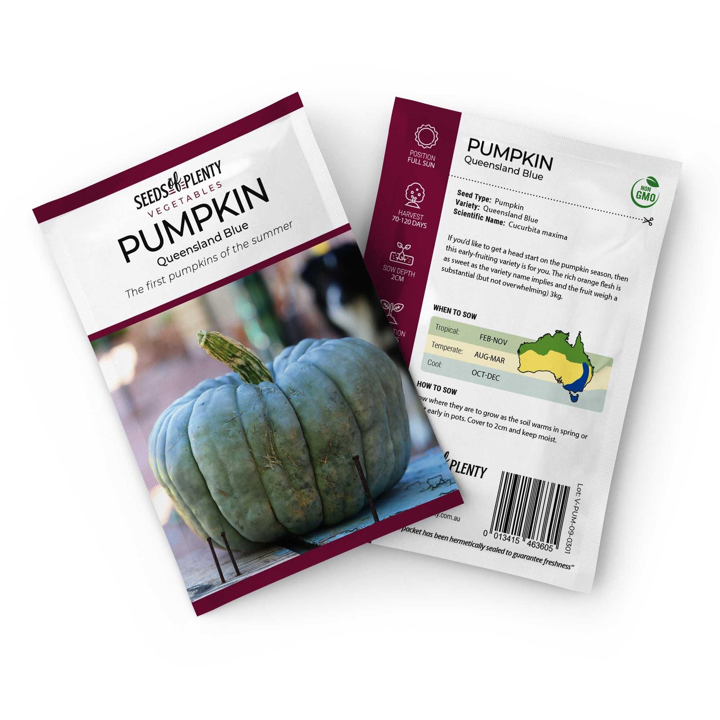 PUMPKIN - Queensland Blue Seed Packet - Cucurbita maxima