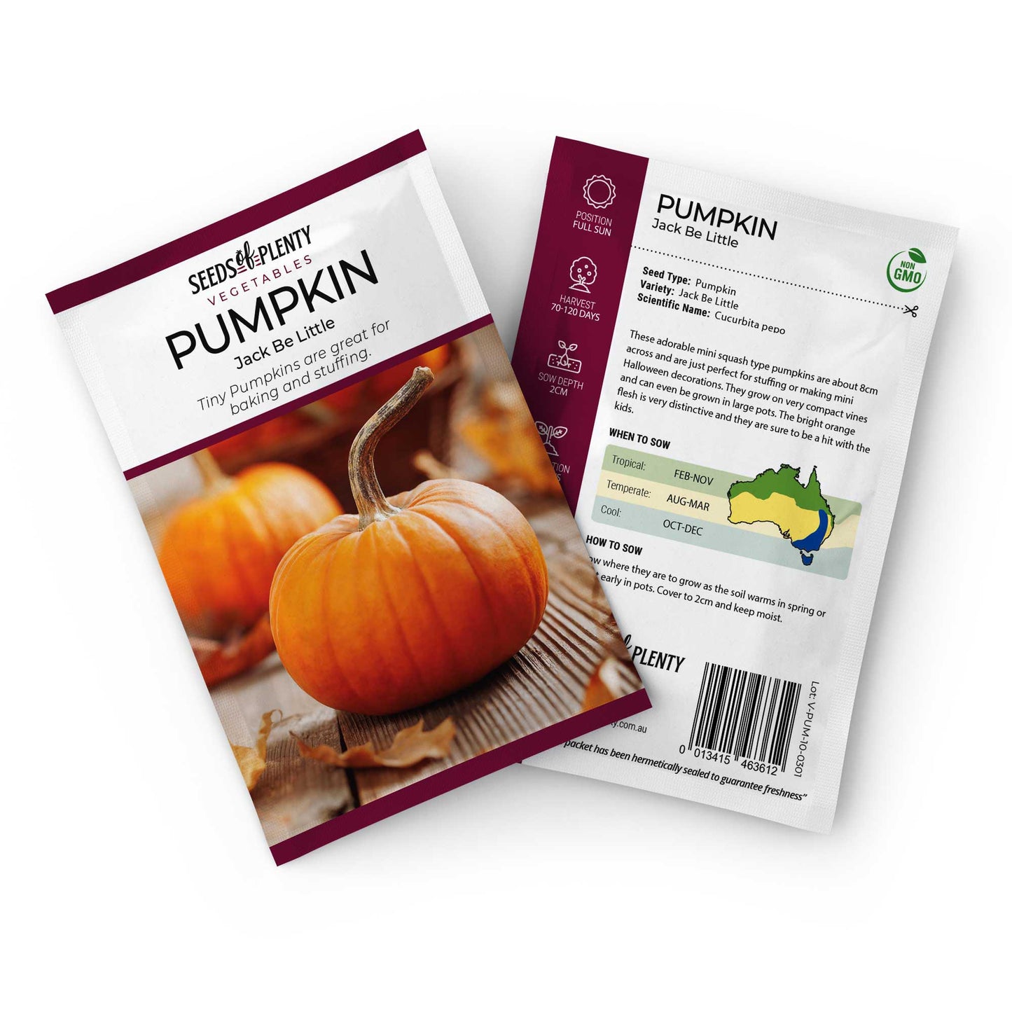 PUMPKIN - Jack Be Little Seed Packet - Cucurbita pepo