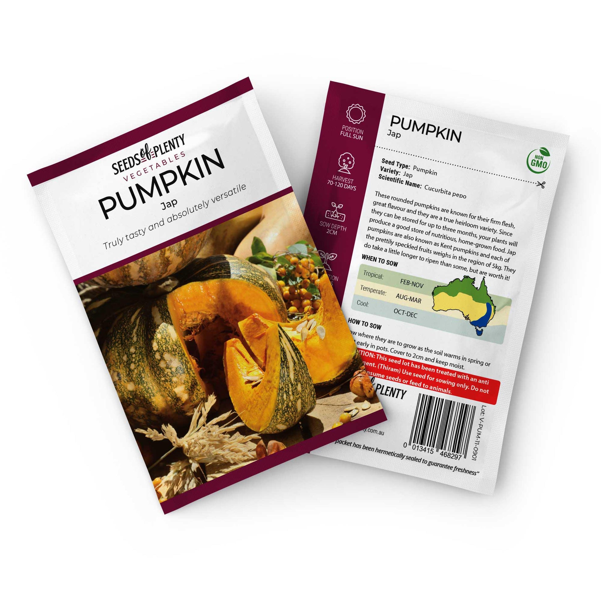 PUMPKIN - Jap Seed Packet - Cucurbita pepo