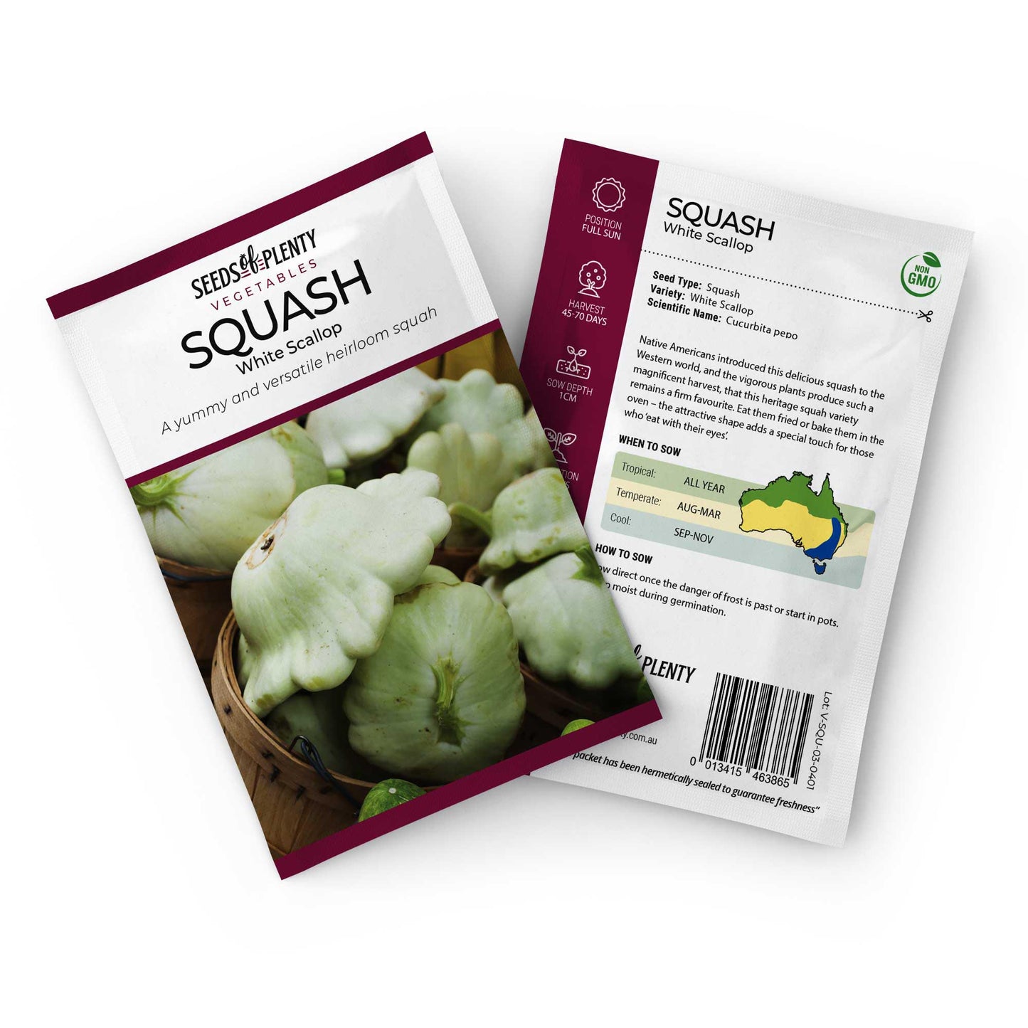 SQUASH - White Scallop Seed Packet - Cucurbita pepo
