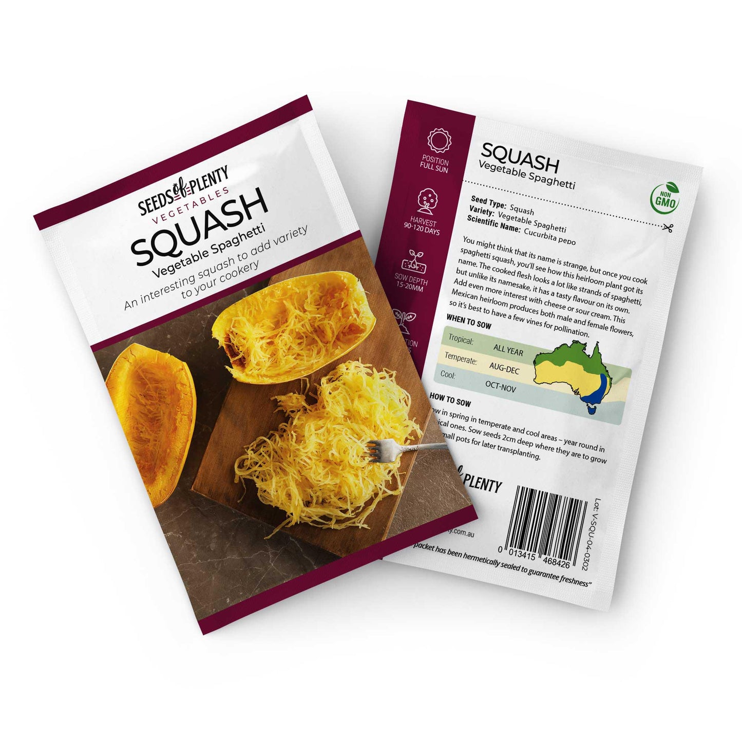 SQUASH - Vegetable Spaghetti Seed Packet - Cucurbita pepo