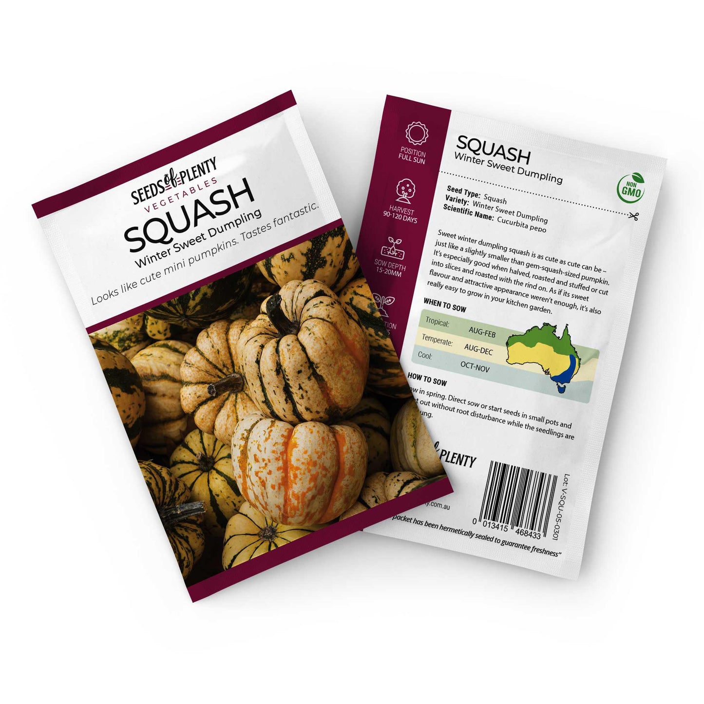 SQUASH - Winter Sweet Dumpling Seed Packet - Cucurbita pepo