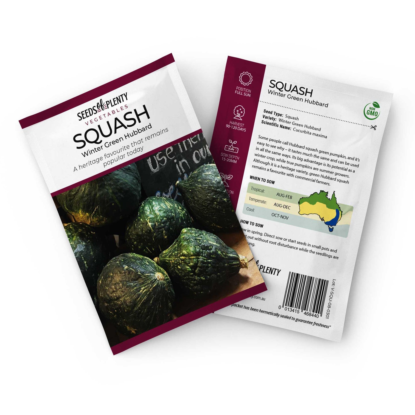 SQUASH - Winter Green Hubbard Seed Packet - Cucurbita maxima