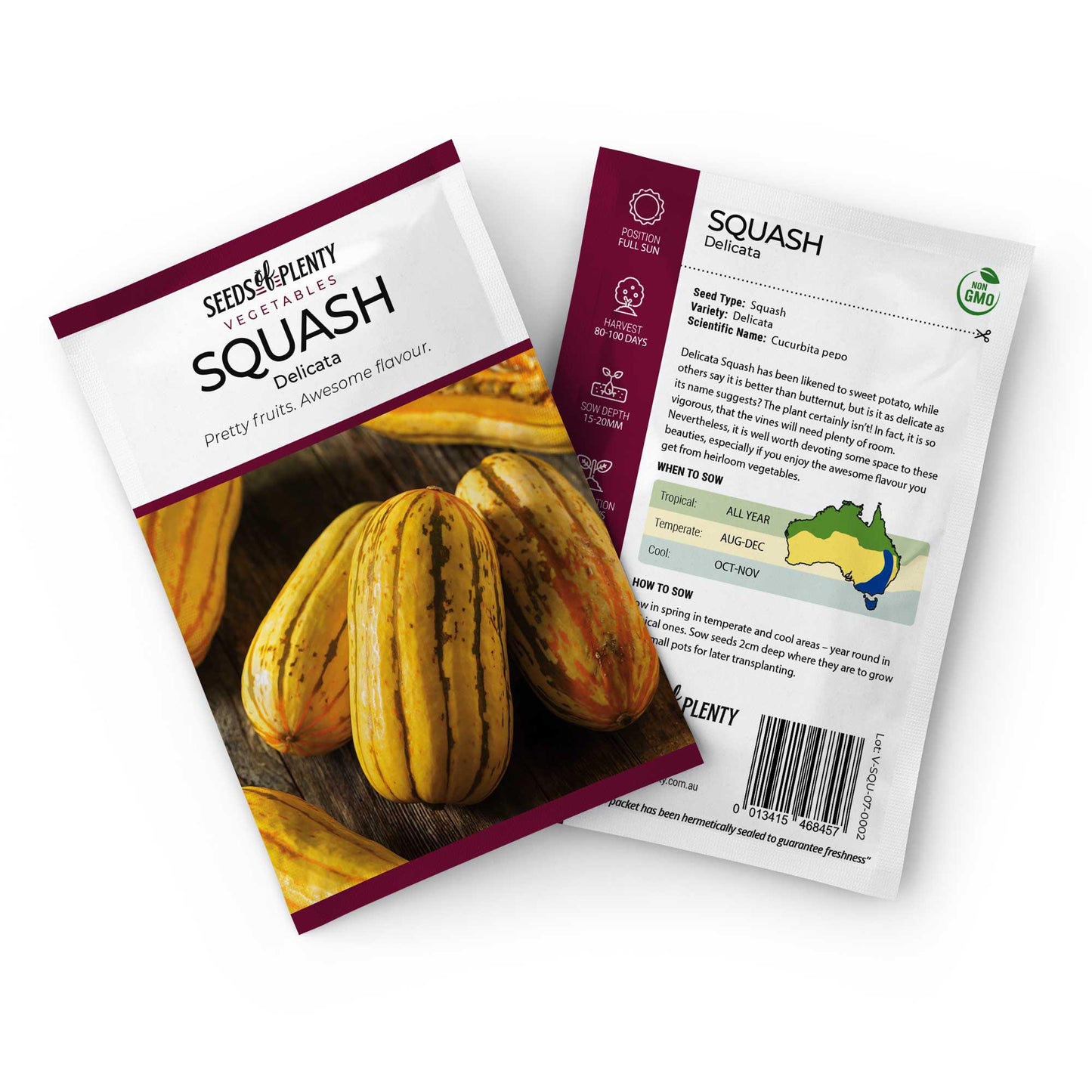 SQUASH - Delicata Seed Packet - Cucurbita pepo