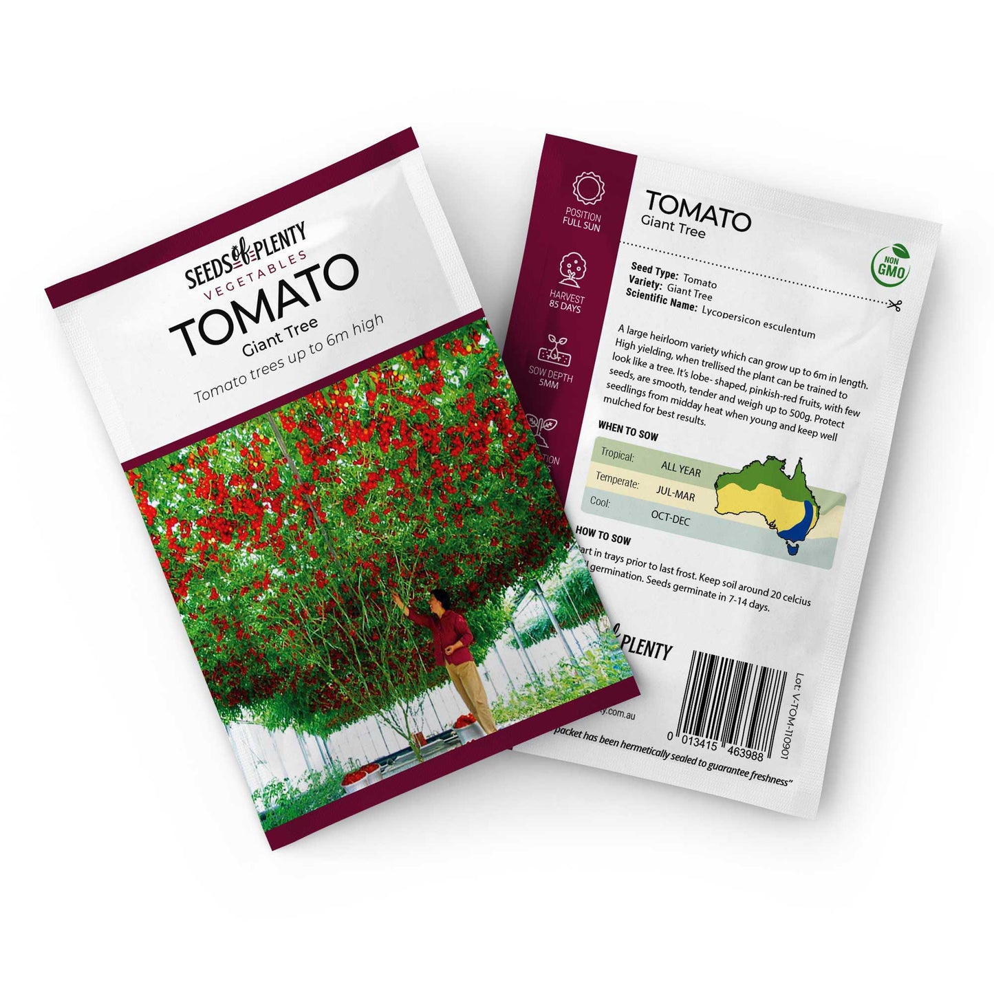 TOMATO - Giant Tree Seed Packet - Lycopersicon esculentum