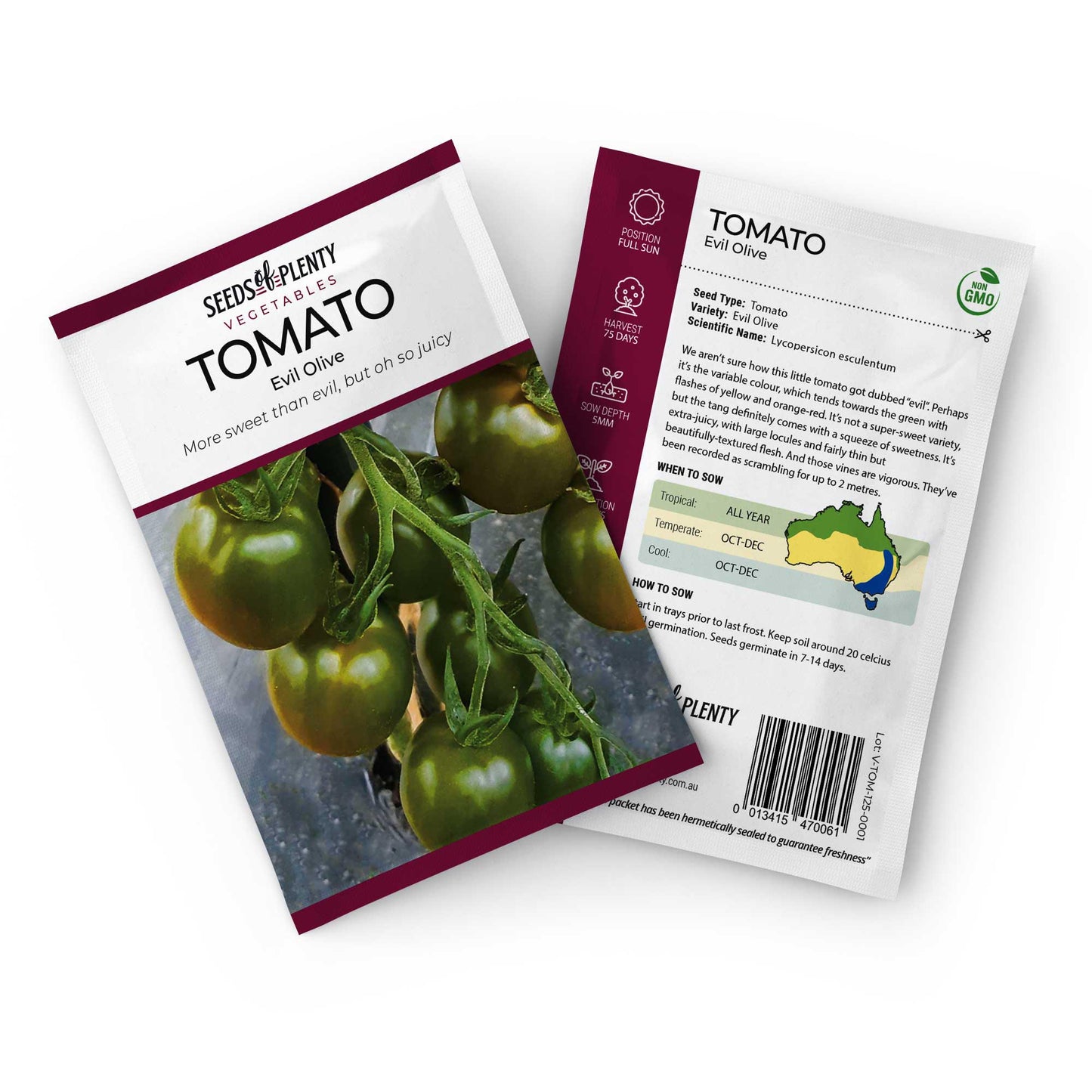 TOMATO - Evil Olive Seed Packet - Lycopersicon esculentum