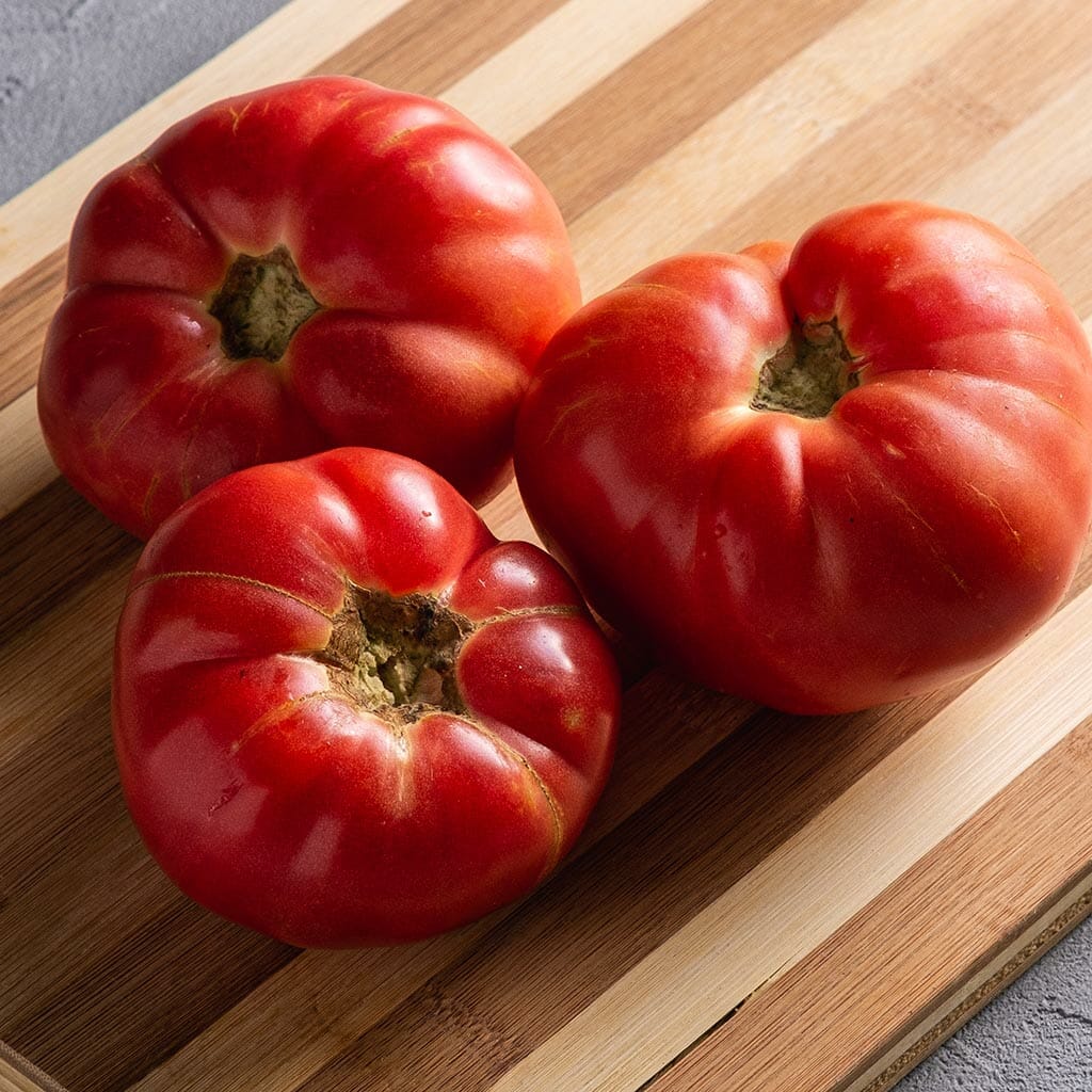 DWARF TOMATO - Adelaide Festival - Lycopersicon esculentum