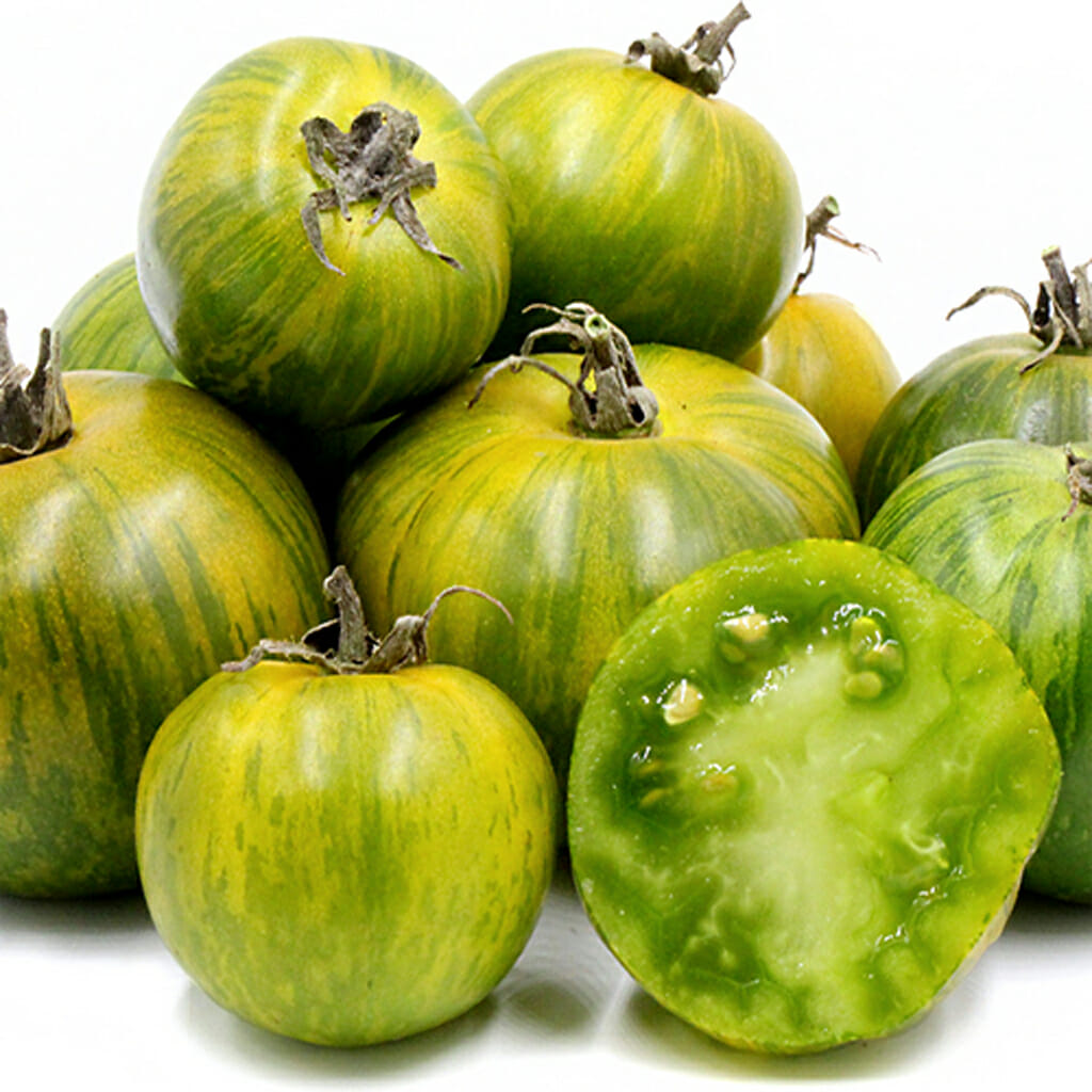 TOMATO - Green Zebra - Lycopersicon esculentum