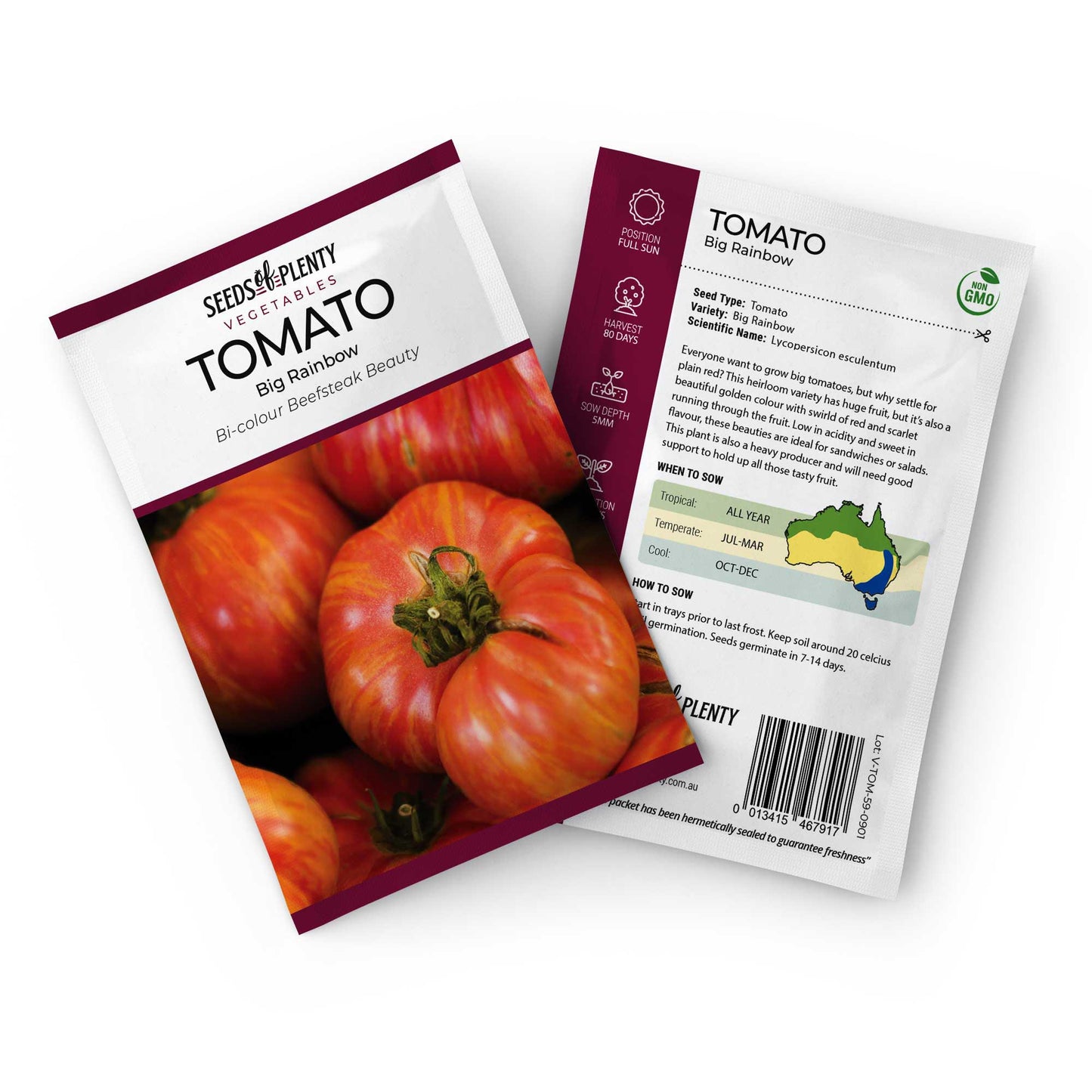 TOMATO - Big Rainbow Seed Packet - Lycopersicon esculentum
