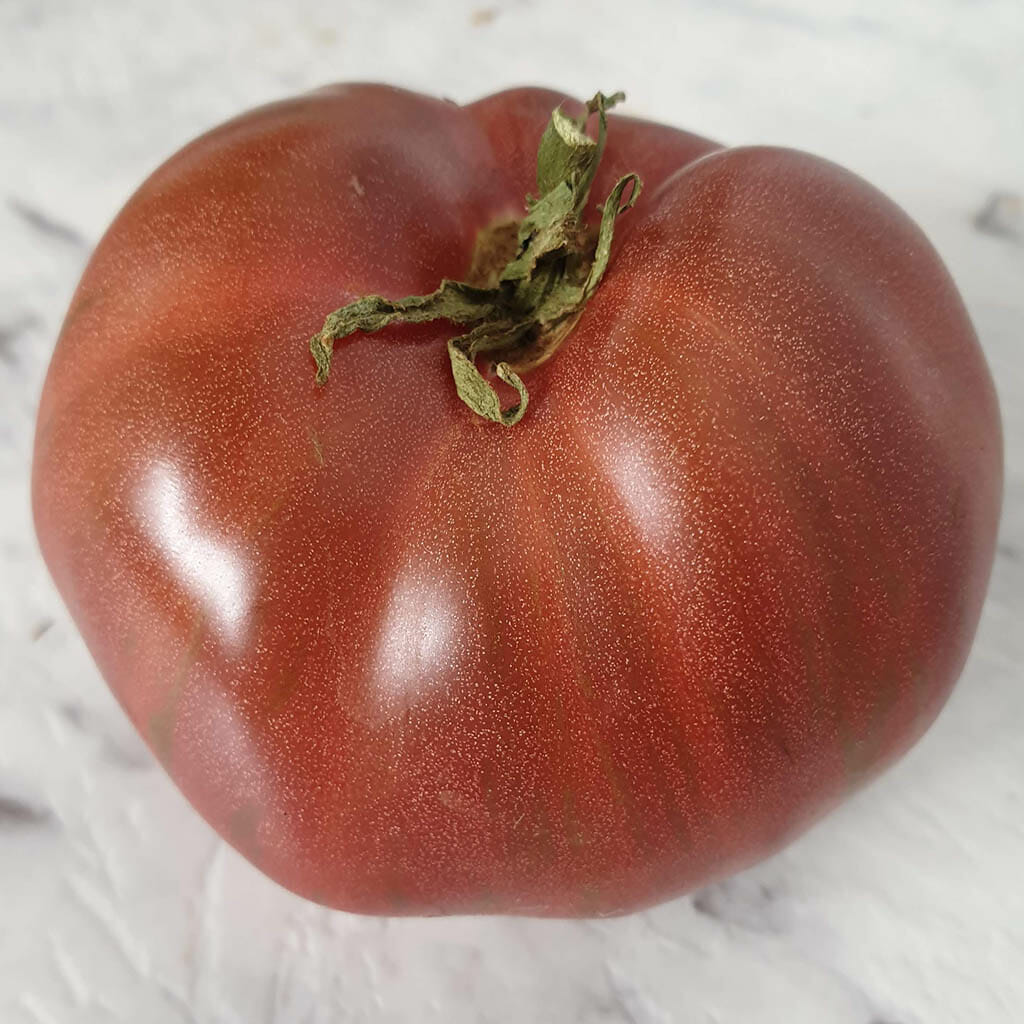 DWARF TOMATO - Rosella Purple - Lycopersicon esculentum