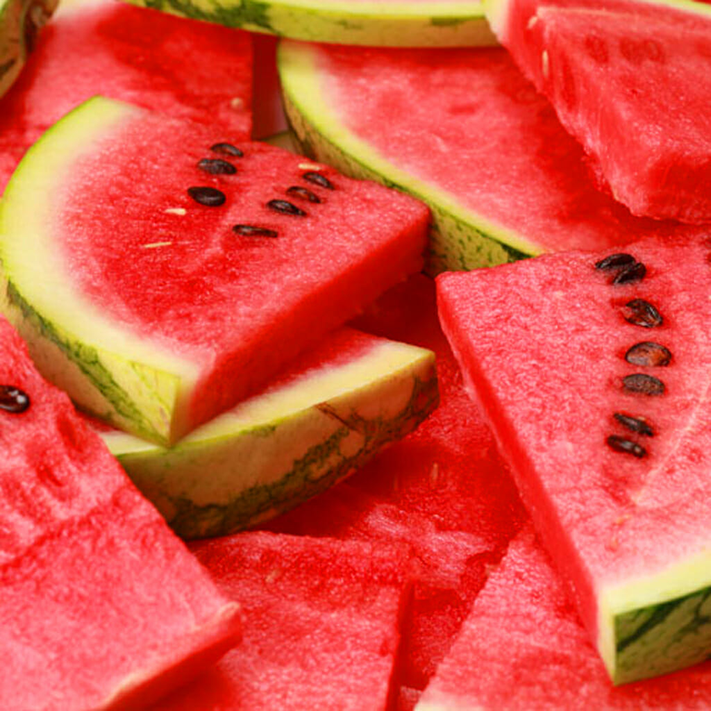 WATERMELON - Sugar Baby - Citrullus lanatus