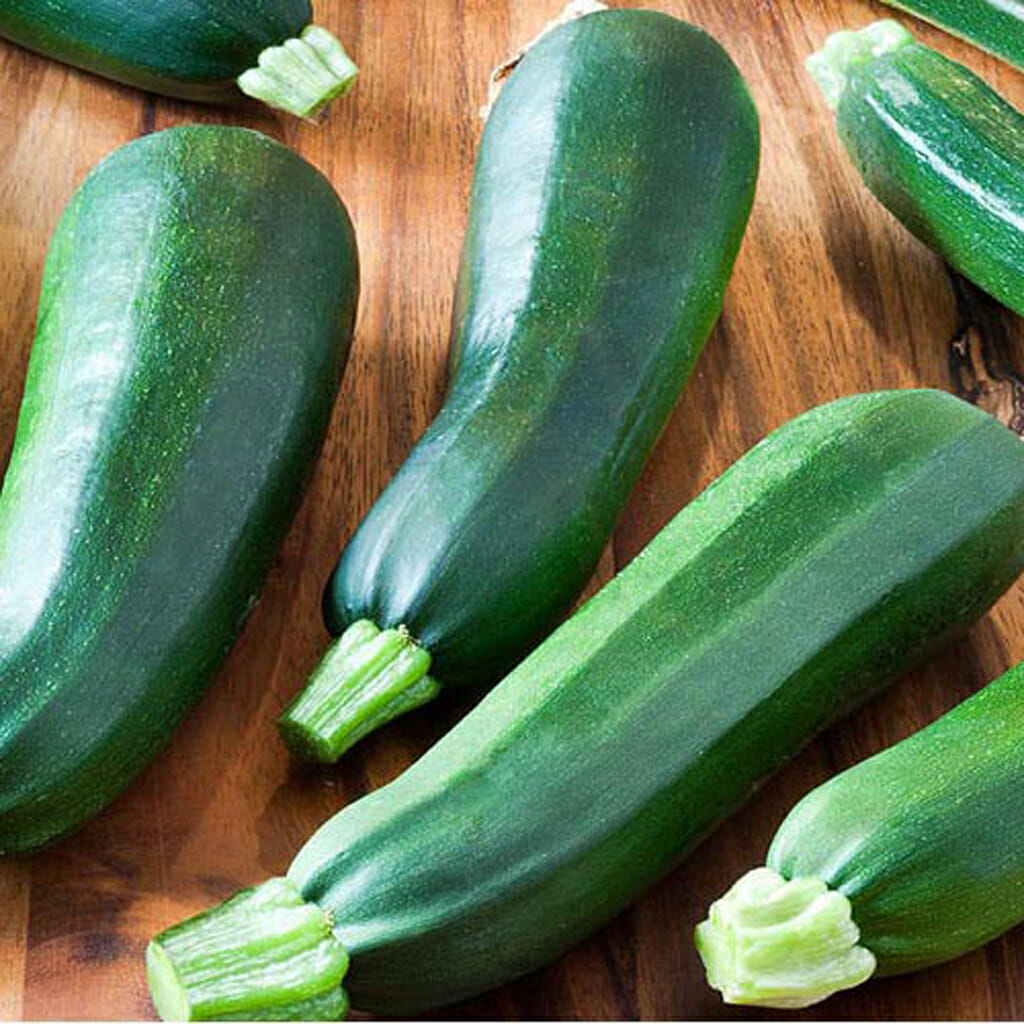 ZUCCHINI - Black Beauty - Cucurbita pepo