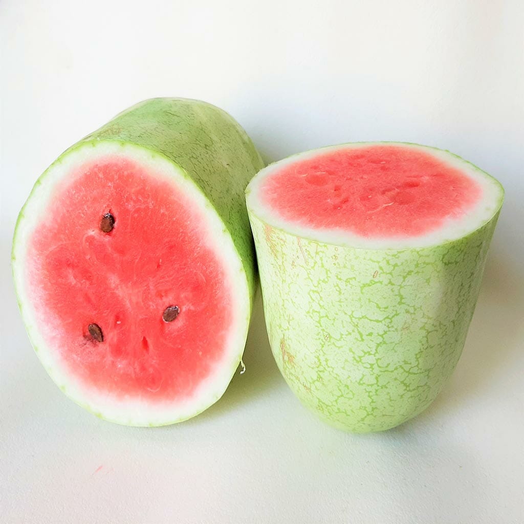 WATERMELON - Charleston Grey - Citrullus lanatus