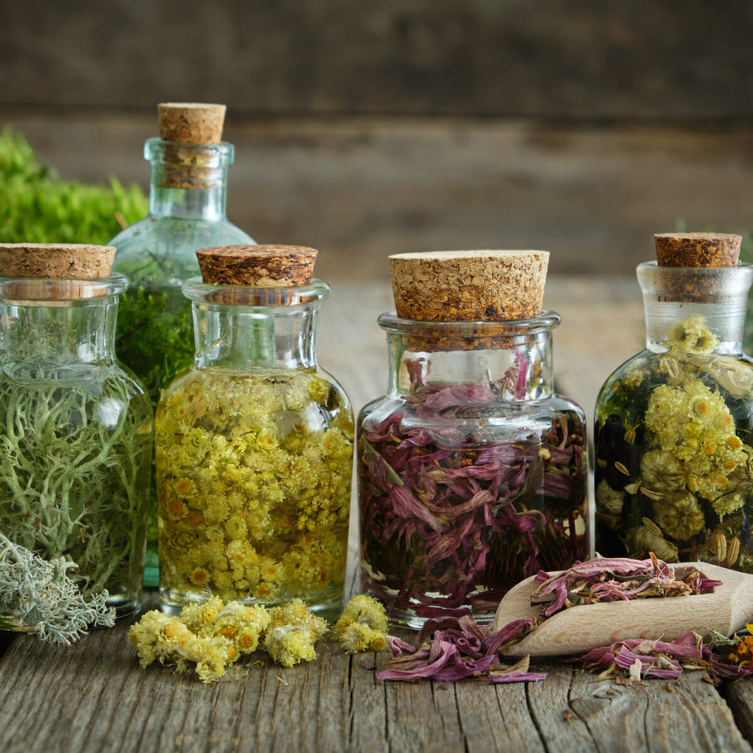 5 Different Ways to Use Your Harvested Herbs