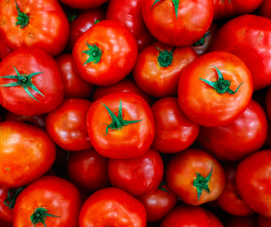 Dwarf Tomato Plants: Australia’s Proud Contribution