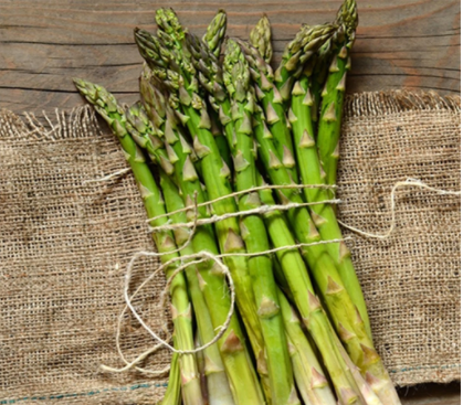 How-to-grow-asparagus-from-seed-in-australia