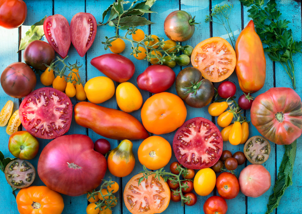 How to Choose the Best Varieties of Tomatoes