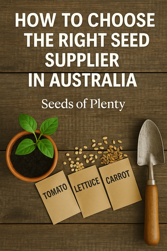 How to Choose the Right Seed Supplier in Australia | Seeds of Plenty