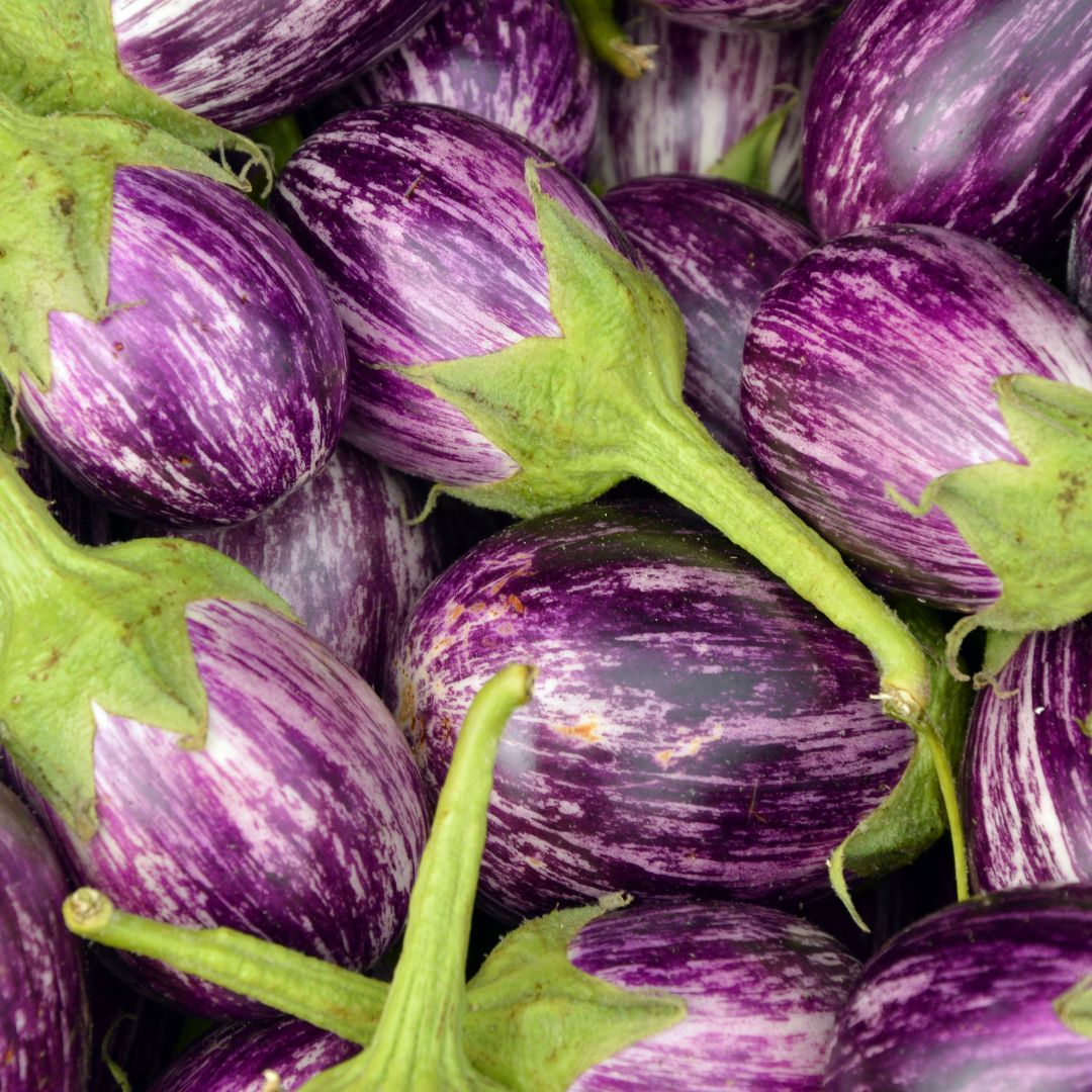 Eggplants & Zucchini