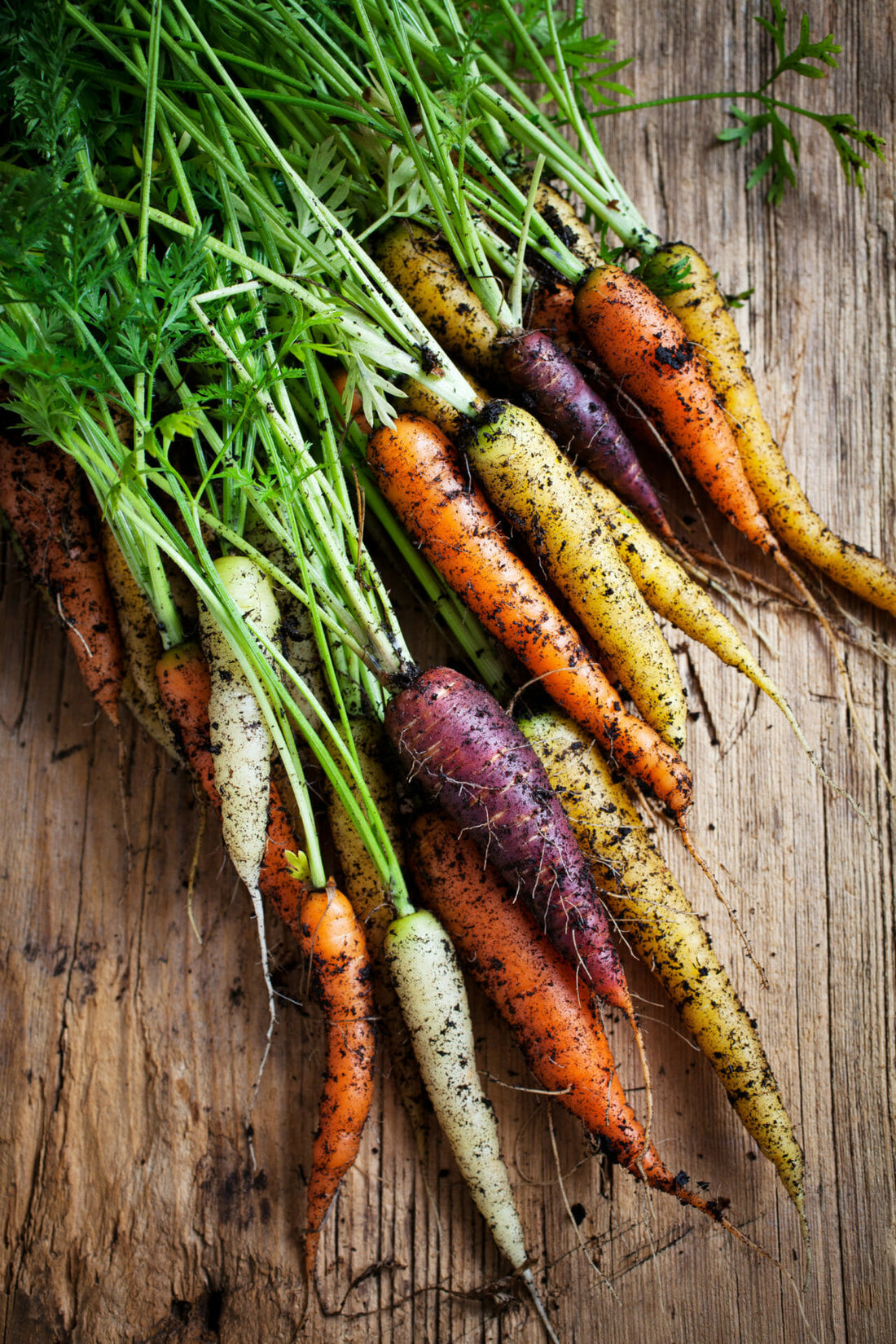 What Carrots Are Worth Growing