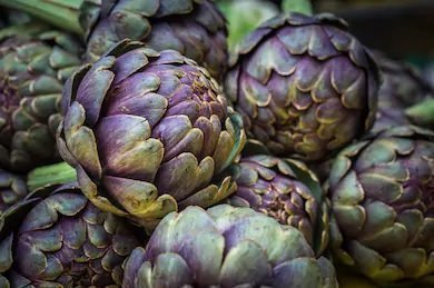 Artichoke