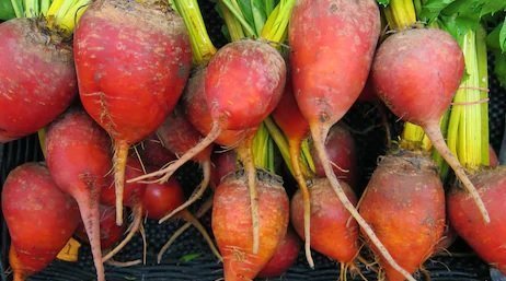 Beetroot