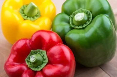 Capsicum