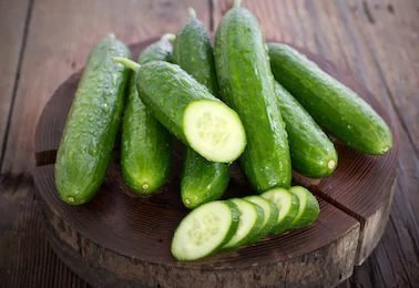 Cucumber