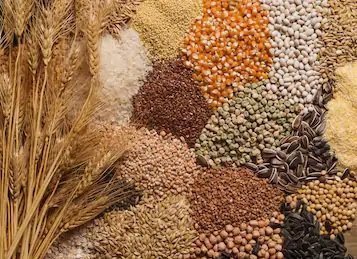Grains & Grasses