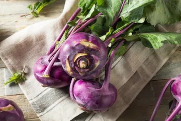 Kohl Rabi